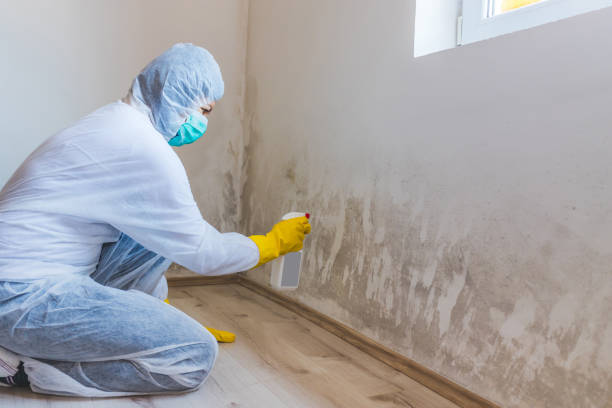 Licensed Mold Remediation service in Farmville, NC - 24 Hour Mold Removal