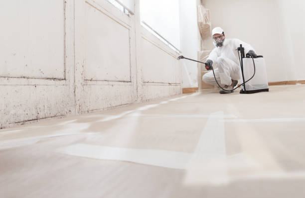 24/7 Emergency Mold Remediation experts in Farmville, NC