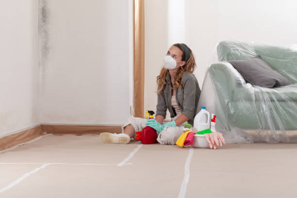 Reliable Mold Remediation contractor in Farmville, NC by 24 Hour Mold Removal